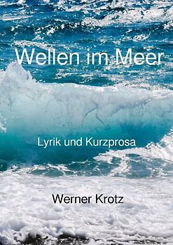 Wellen im Meer