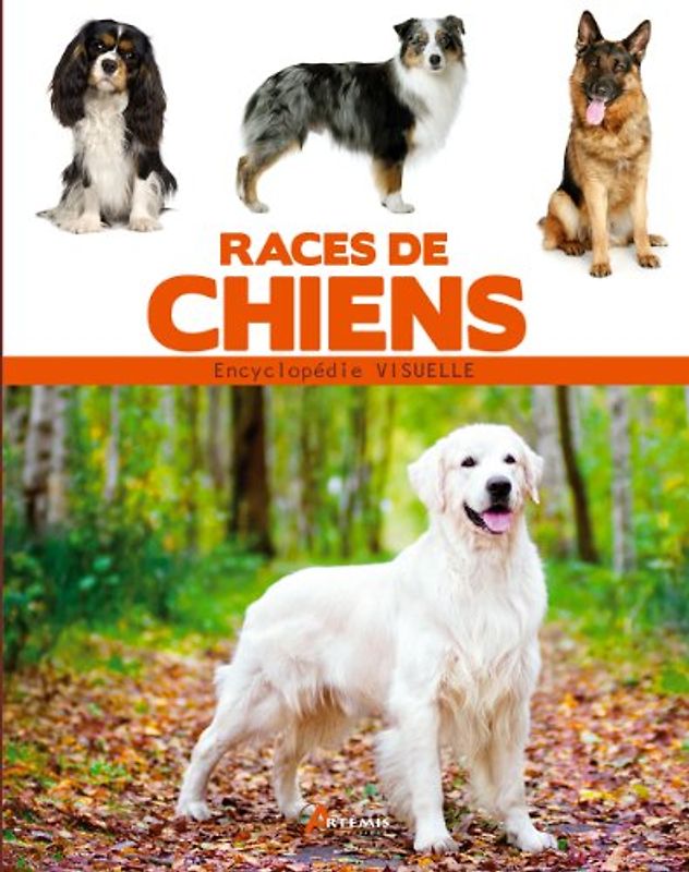 Encyclopédie visuelle des races de chien