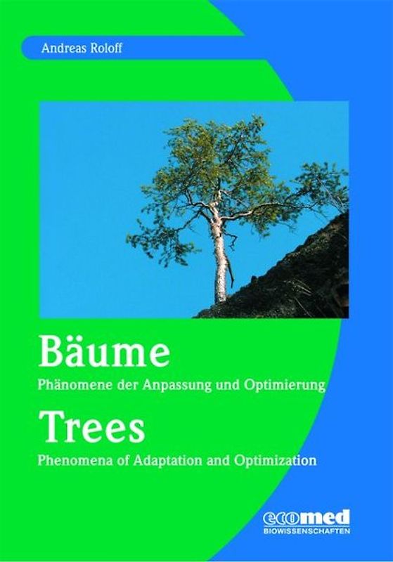 Bäume - Phänomene der Anpassung und Optimierung