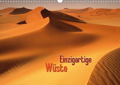 Einzigartige Wüste (Posterbuch DIN A3 quer)