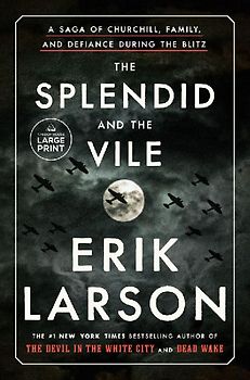 The Splendid and the Vile