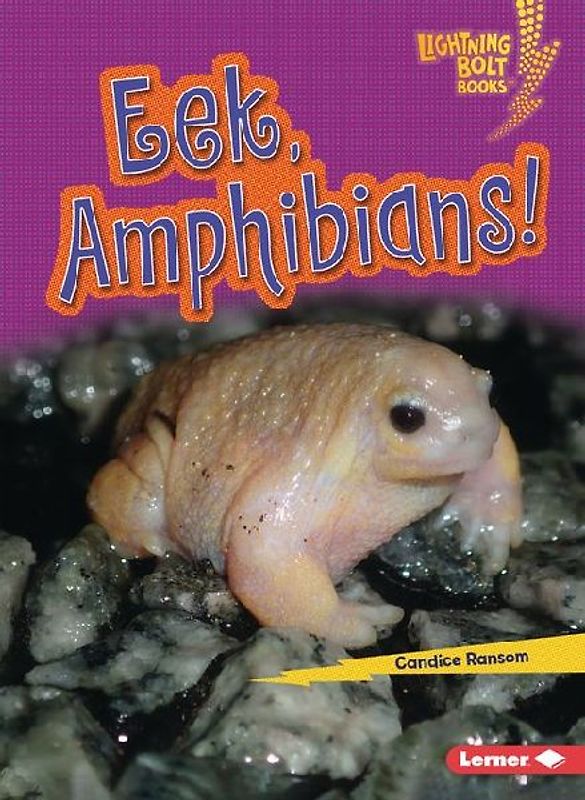 Eek, Amphibians!