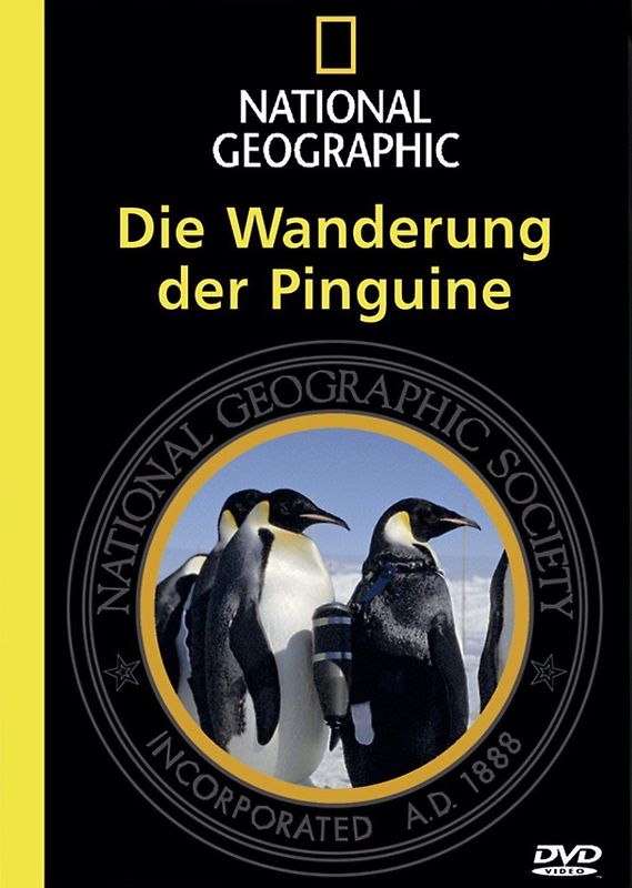 Wanderung der Pinguine, Die DVD