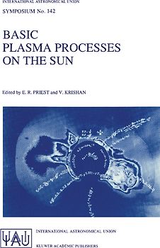 Basic Plasma Processes on the Sun