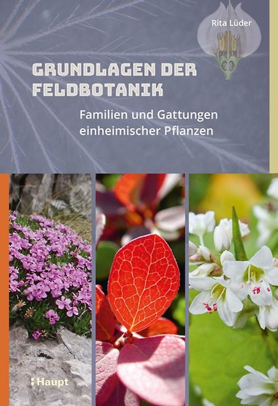 Grundlagen der Feldbotanik