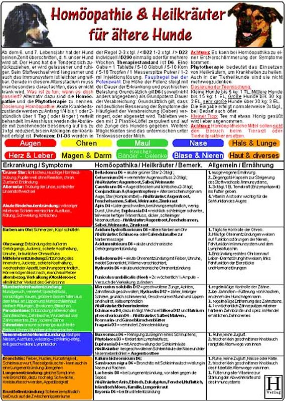 Homöopathie & Heilkräuter für "ältere" Hunde