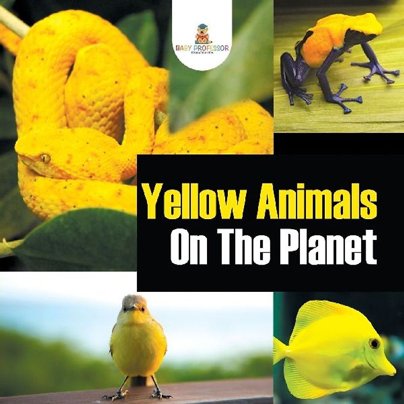 Yellow Animals On The Planet
