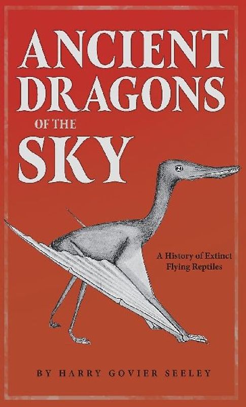 Ancient Dragons of the Sky