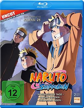 Naruto Shippuden - Die komplette Staffel 25 [2 Discs] Blu-ray Disc