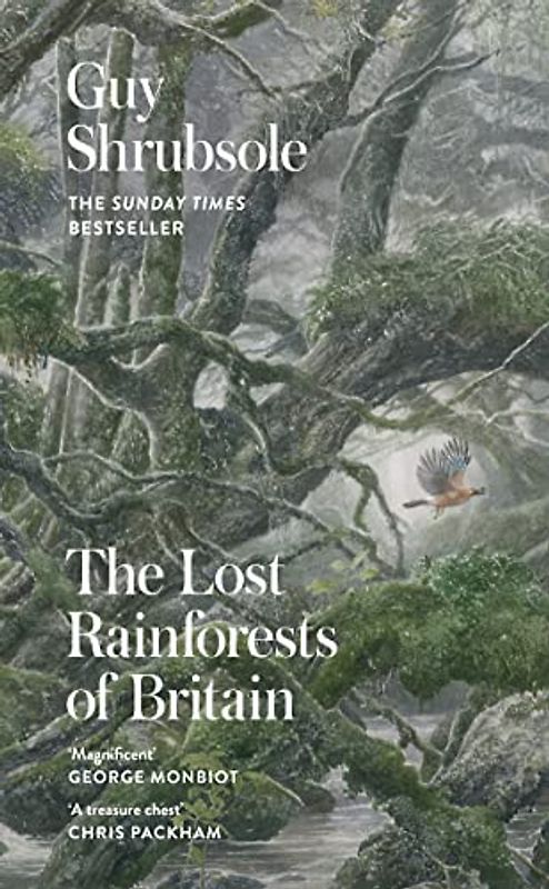 The Lost Rainforests of Britain