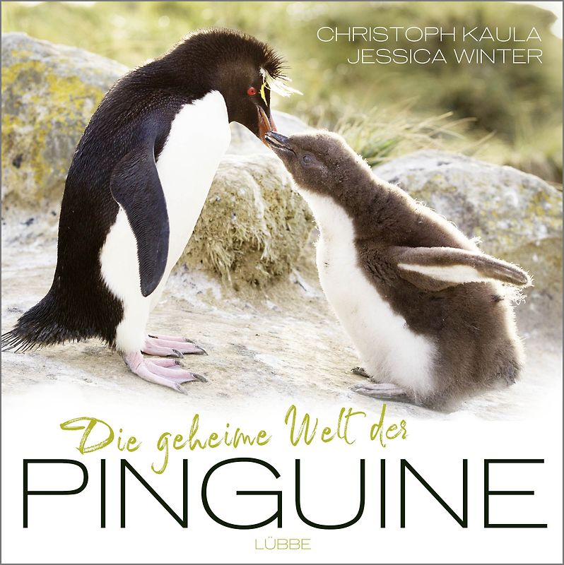 Die geheime Welt der Pinguine