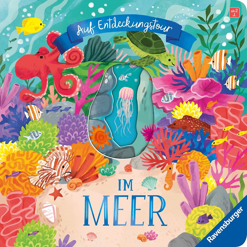 Auf Entdeckungstour: Im Meer