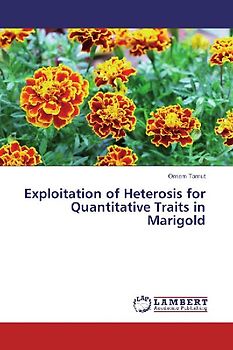 Exploitation of Heterosis for Quantitative Traits in Marigold