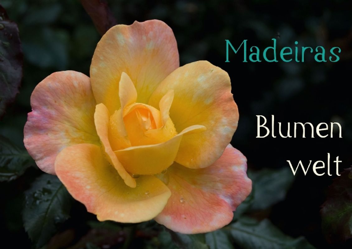 Madeiras Blumenwelt (Posterbuch DIN A4 quer)