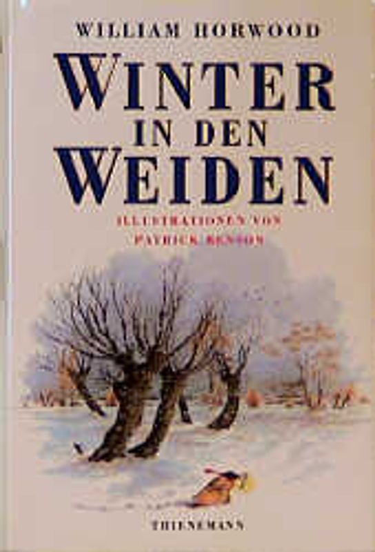 Winter in den Weiden