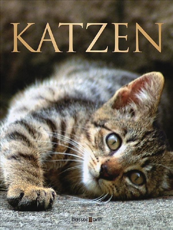 Katzen