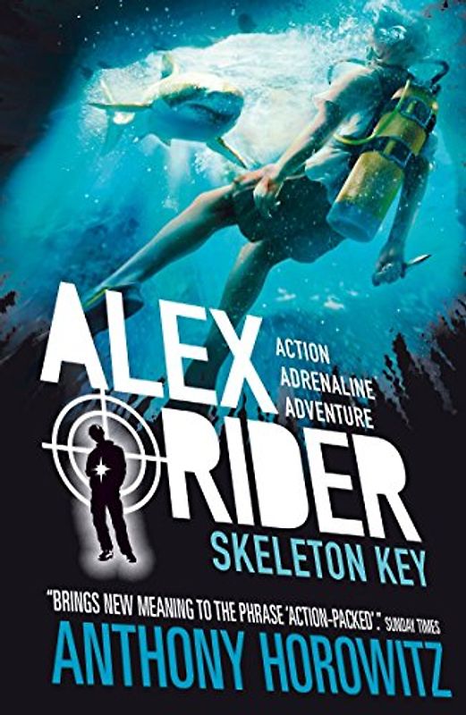 Skeleton Key (Alex Rider, Band 3)