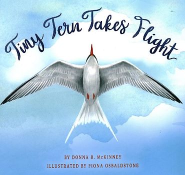 Tiny Tern Takes Flight