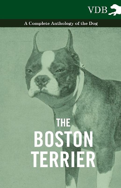 The Boston Terrier - A Complete Anthology of the Dog -