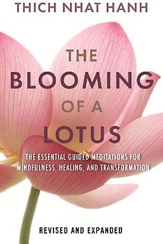 The Blooming of a Lotus