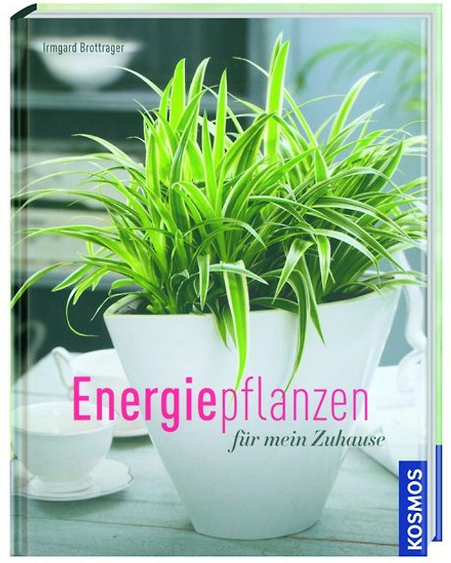 Kosmos: Energiepflanzen für mein Zuhause