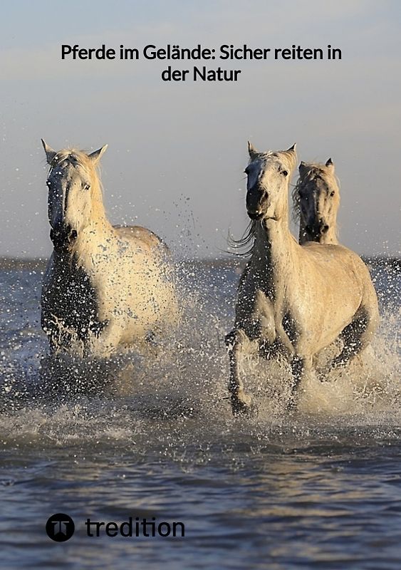 Pferde im Gelände: Sicher reiten in der Natur