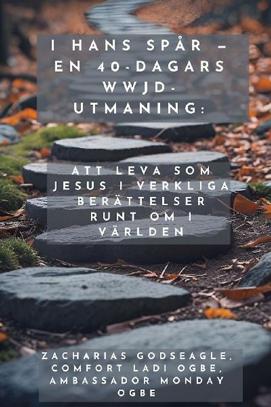 I Hans Spår - En 40-dagars WWJD-utmaning -  Att leva som Jesus i verkliga berättelser runt om i världen