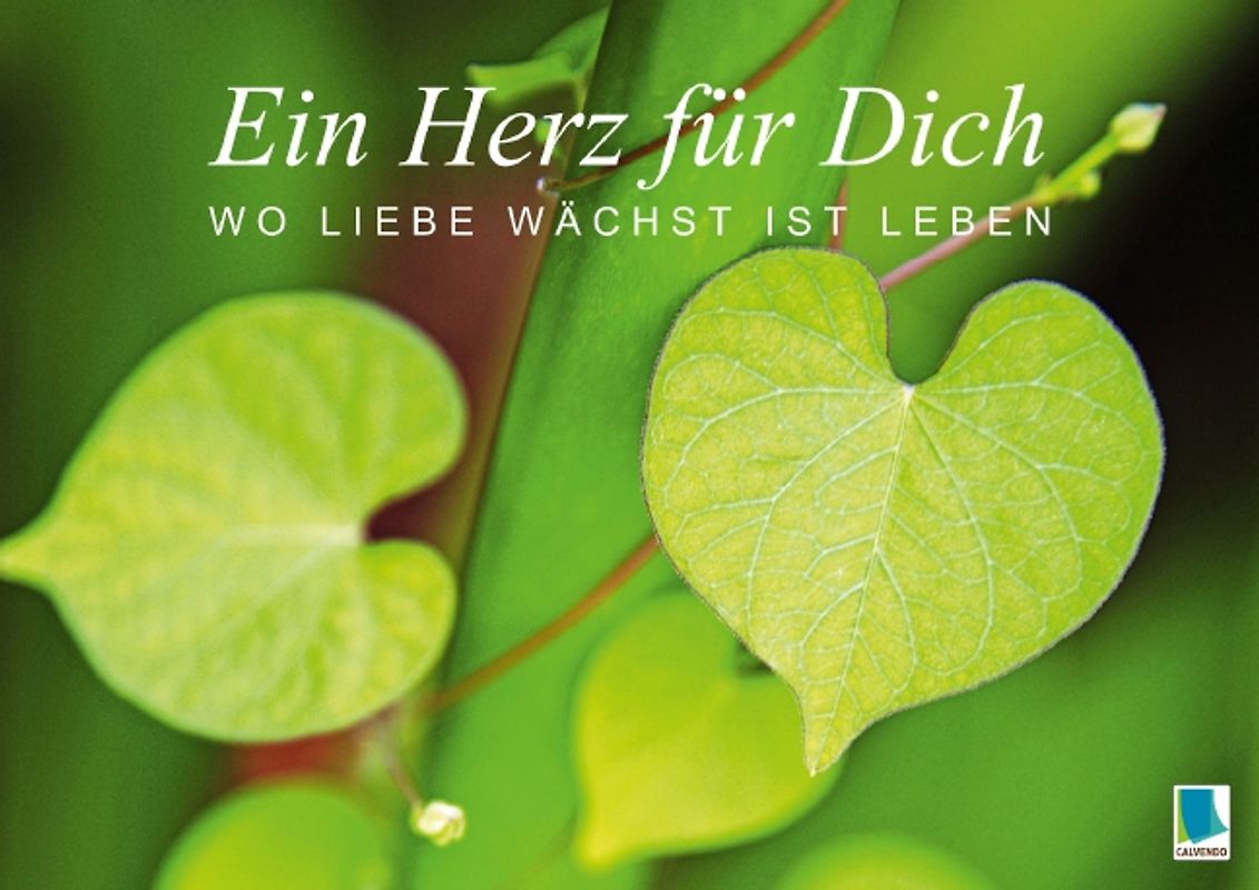 Ein Herz für Dich: Wo Liebe wächst ist Leben (Posterbuch DIN A2 quer)