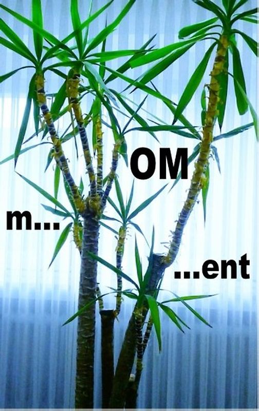 m...OM...ent