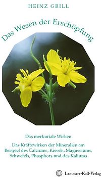 Das Wesen der Erschöpfung