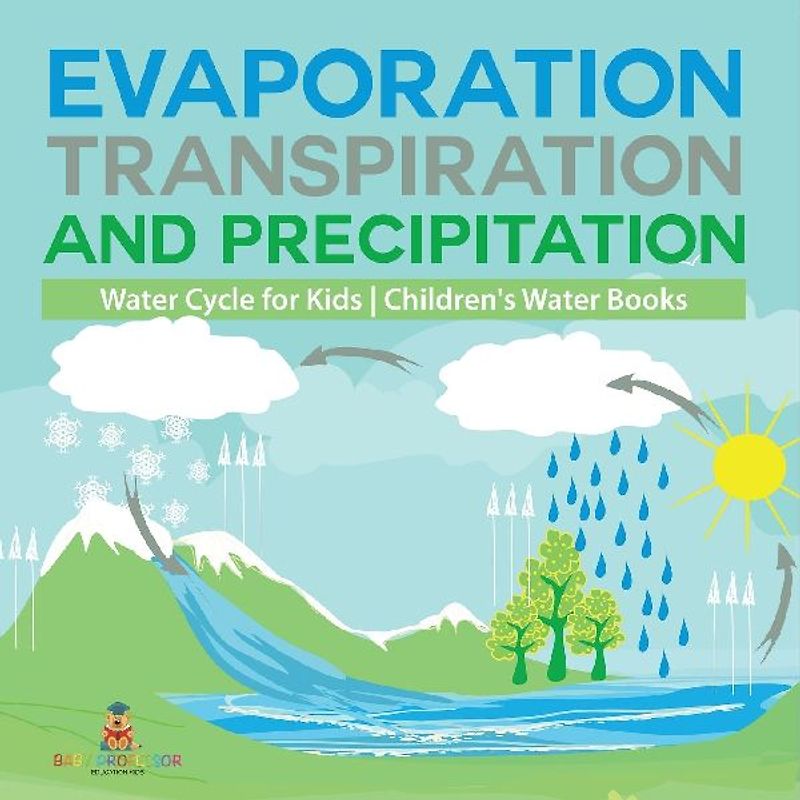 Evaporation, Transpiration and Precipitation | Water Cycle for Kids | Children's Water Books