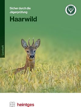 Haarwild