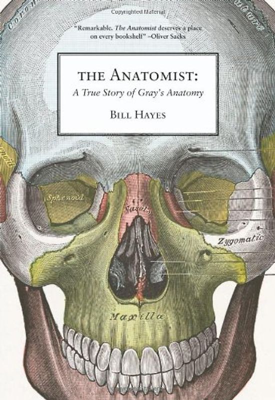 The Anatomist: A True Story of Gray's Anatomy - Hayes, Bill