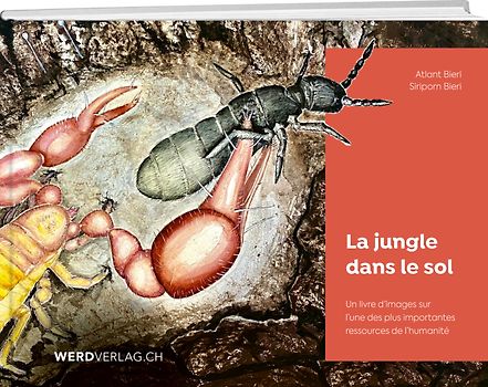 La jungle dans le sol