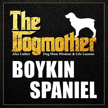 The Dogmother: Boykin Spaniel: (Dog Mom Wisdom & Life Lessons)