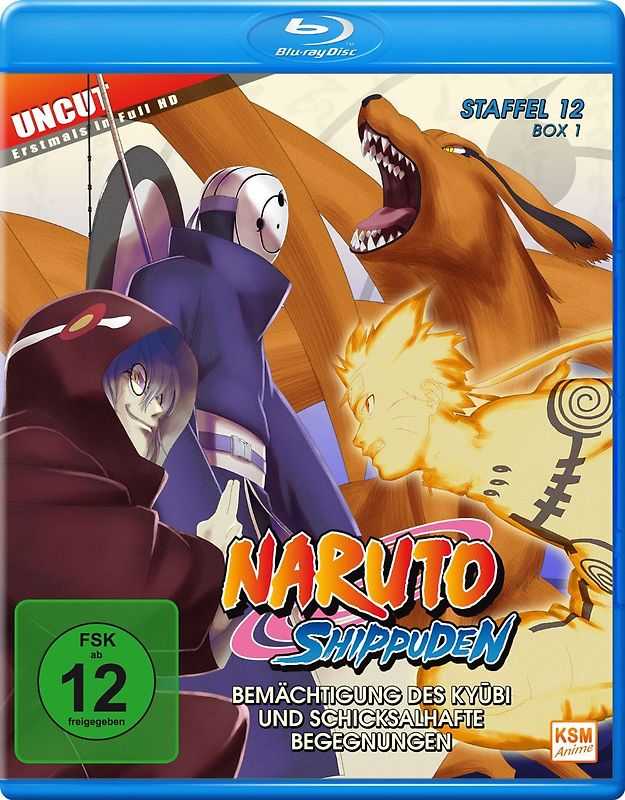 Naruto Shippuden - Staffel 12 - Box 1 [2 Discs] Blu-ray Disc