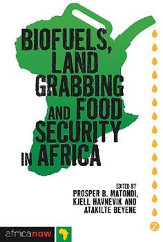 Biofuels, Land Grabbing and Food Security in Africa