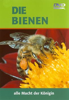Die Bienen - Alle Macht der Königin DVD
