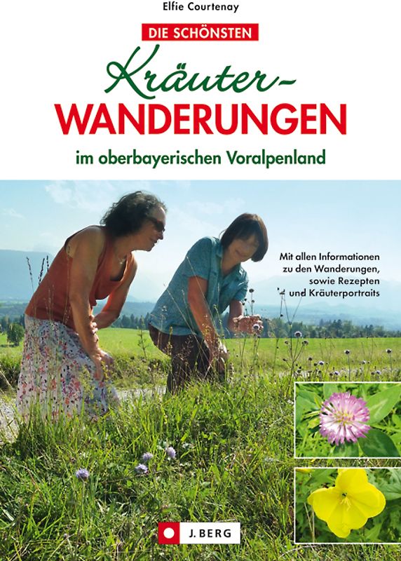 Kräuterwanderungen