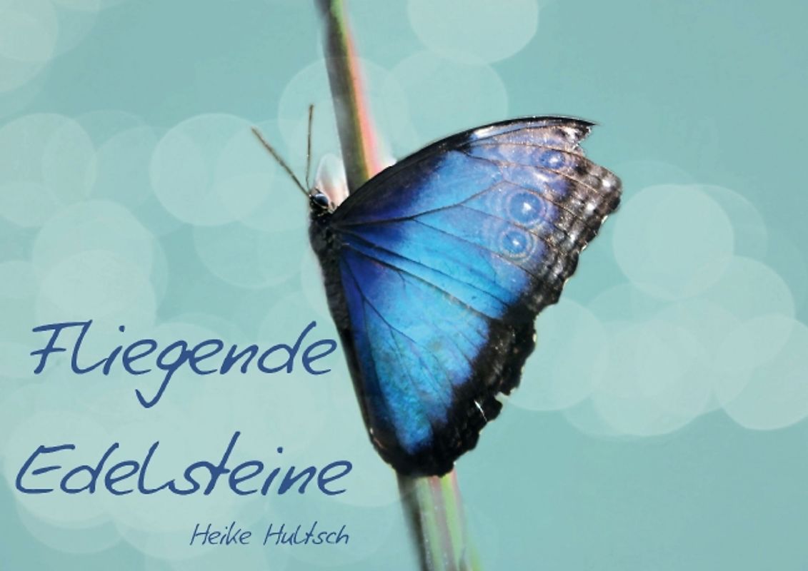 Fliegende Edelsteine (Posterbuch DIN A2 quer)