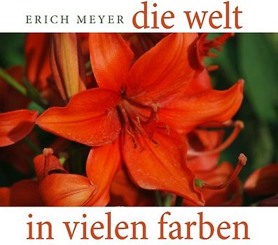 Die Welt in vielen Farben