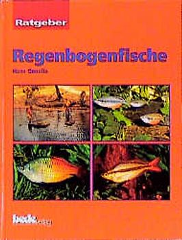 Ratgeber Regenbogenfische
