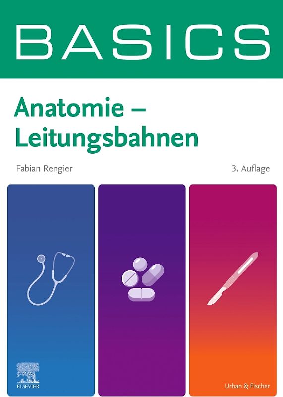 BASICS Anatomie - Leitungsbahnen