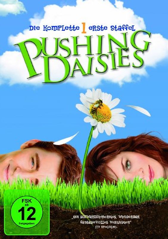 Pushing Daisies - Staffel 1 [3 DVDs] DVD