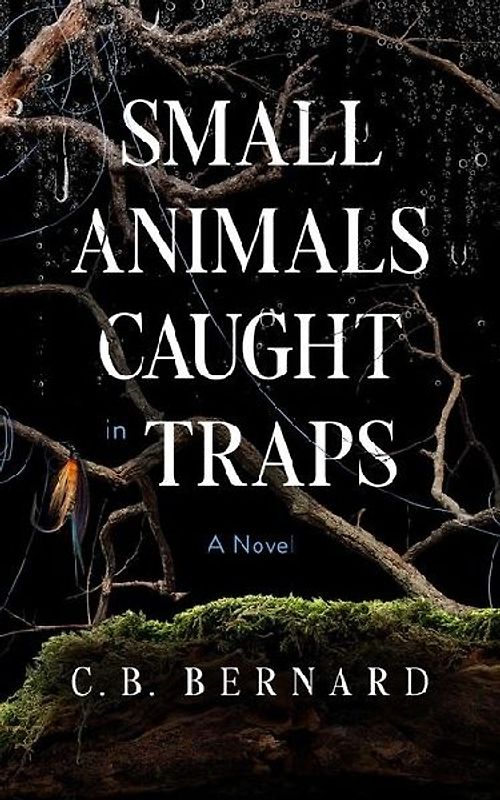 Small Animals Caught in Traps