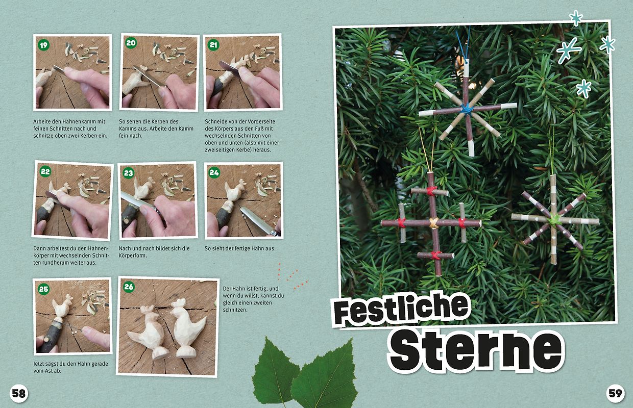 Das Vitamin - C - Projekt. Eine Unterrichtseinheit für das naturwissenschaftliche Praktikum