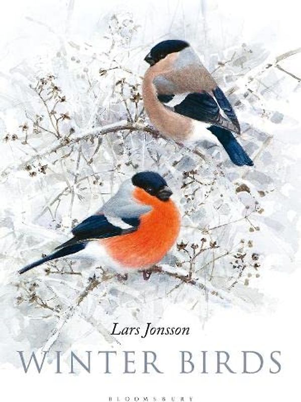 Winter Birds