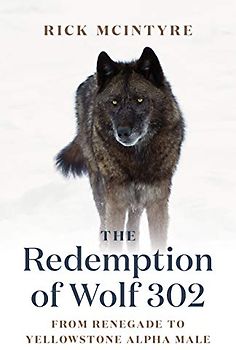 The Redemption of Wolf 302: From Renegade to Yellowstone Alpha Male (The Alpha Wolves of Yellowstone, 3)