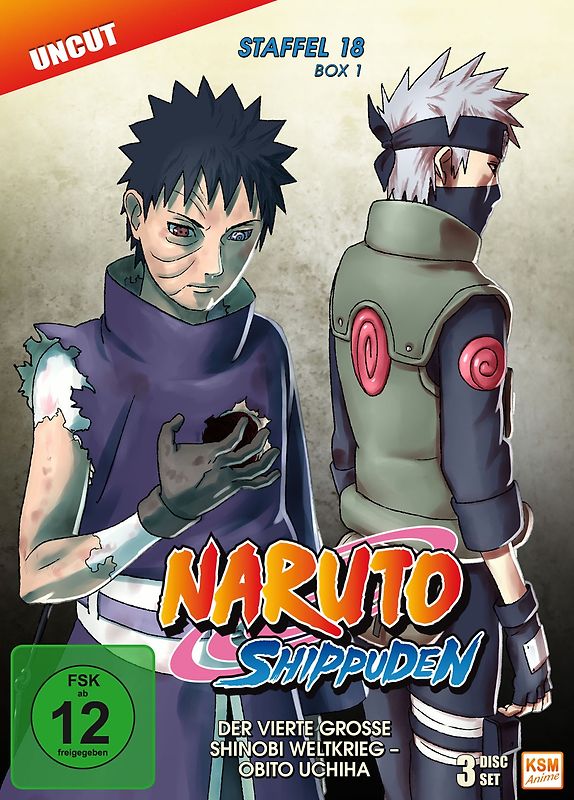 Naruto Shippuden: Die komplette Staffel 18 - Box 1, Episoden 593-602 [2 DVDs] DVD