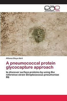 A pneumococcal protein glycocapture approach
